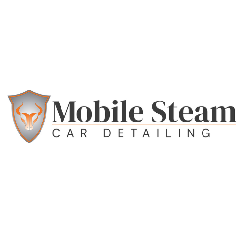 Arlington Mobile Steam Car Detailing