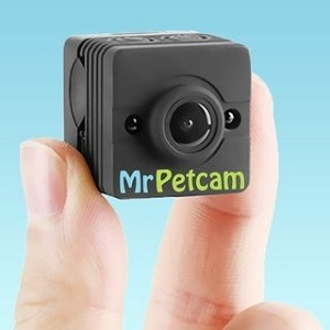 Mr Petcam
