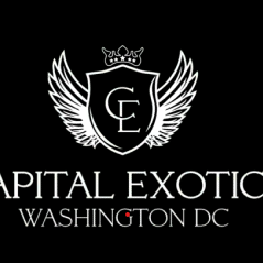 Capital Exotic