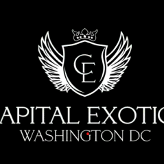 CAPITAL EXOTIC