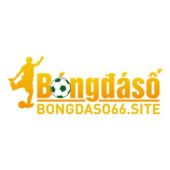 bongdaso66 - Startupxplore bongdaso66