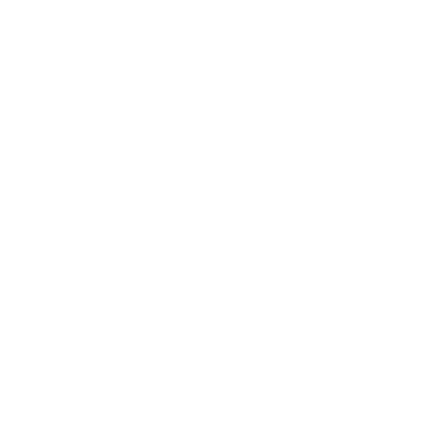 Wise Wellness