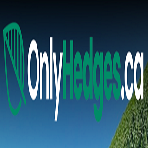 Ottawa hedge trimming