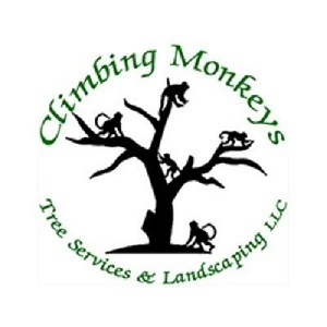 Climbing Monkeys Tree Services & Landscaping, LLC