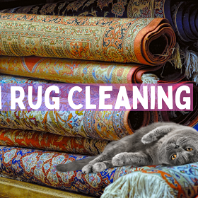 Persian Rug Cleaning