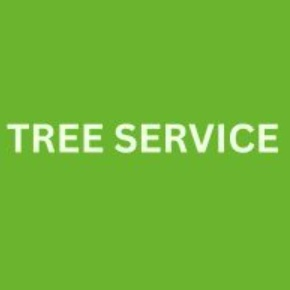 Tree Service Akron Oh Pros