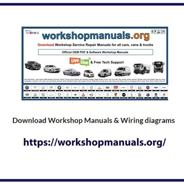 Workshop Manuals