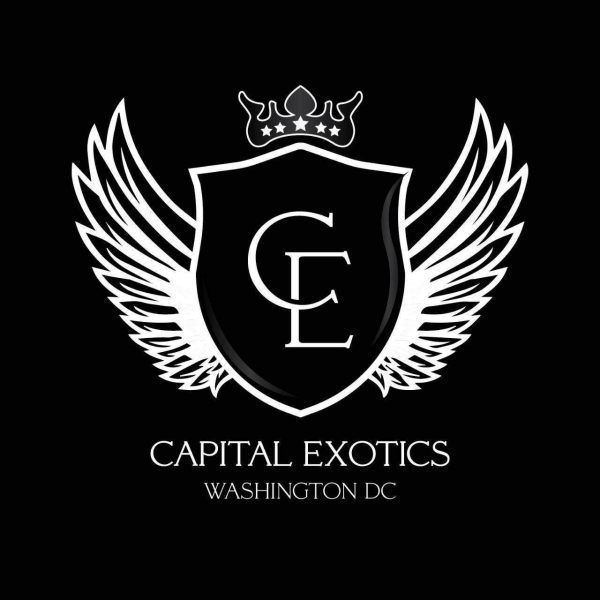 Capital Exotic LLC