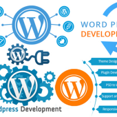 Wordpress Development Company in Chennai - Startupxplore Wordpress Development Company in Chennai