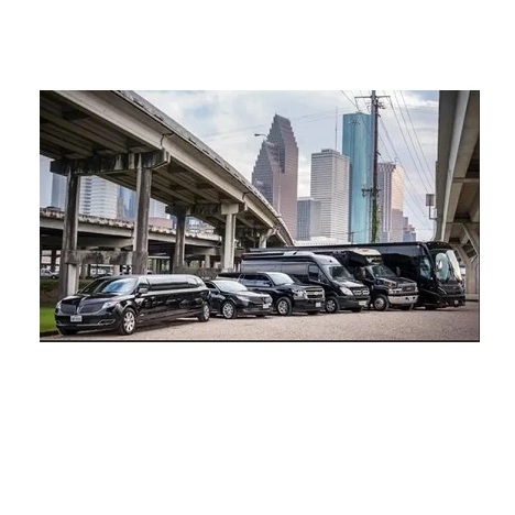Limousine & Transportation Services by royalridela
