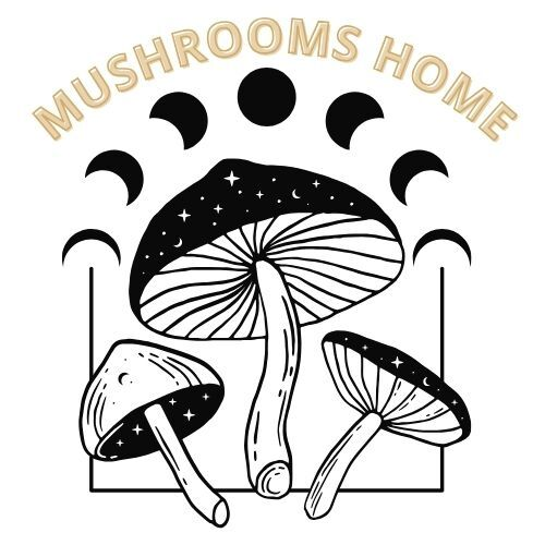 Mushrooms Home | Buy Magic Mushroom Online