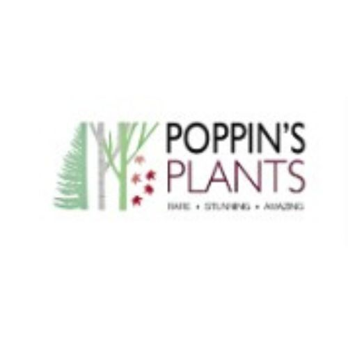 Poppin&rsquo;s Plants