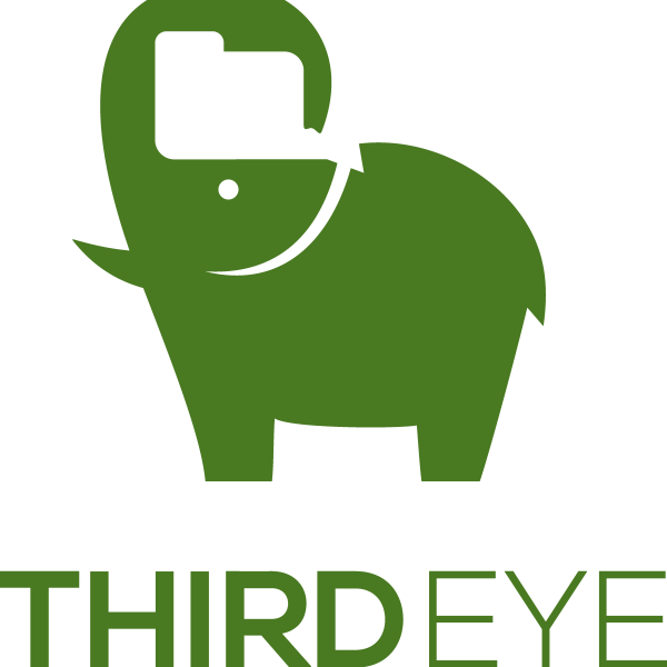 ThirdEye Data