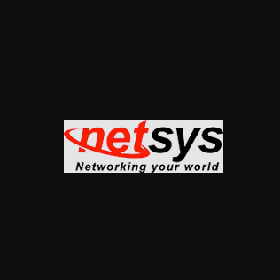 Netsys-America, LLC