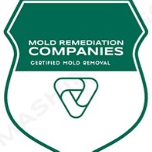 Santa Paula Mold Remediation Pros