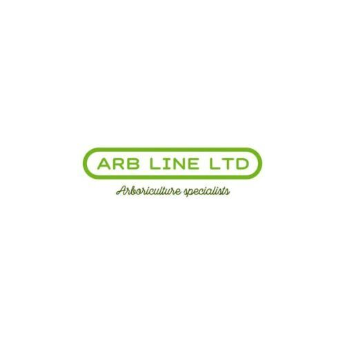 Arb Line Ltd