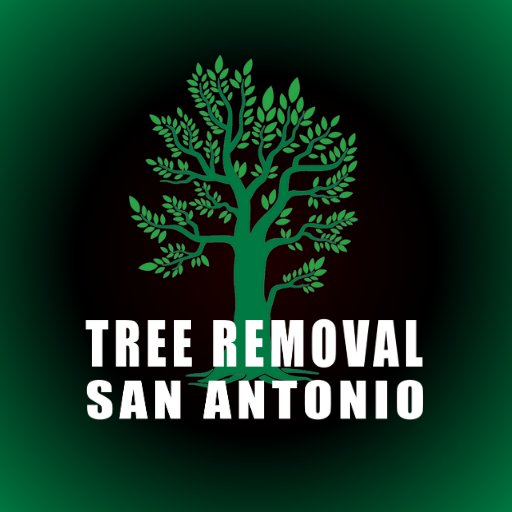 Tree Removal San Antonio