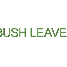 Bush Leaves Teas