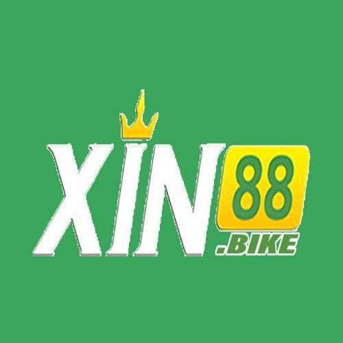 Xin88