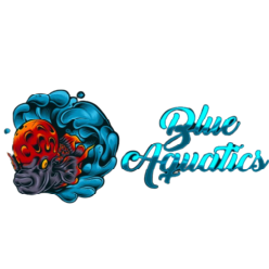 Blue Aquatics