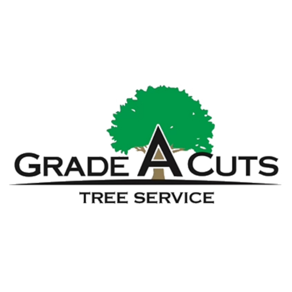 Grade A Cuts