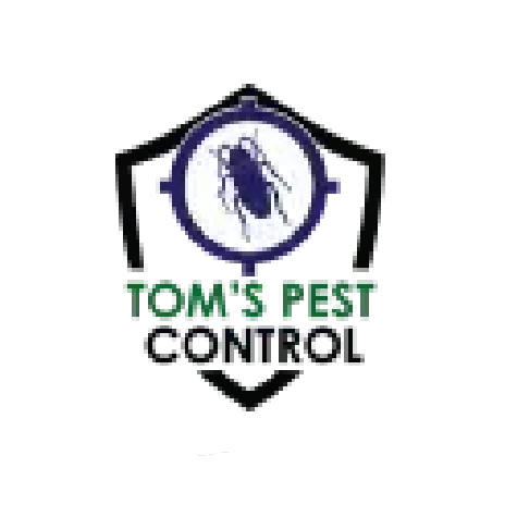 Pest Control in London