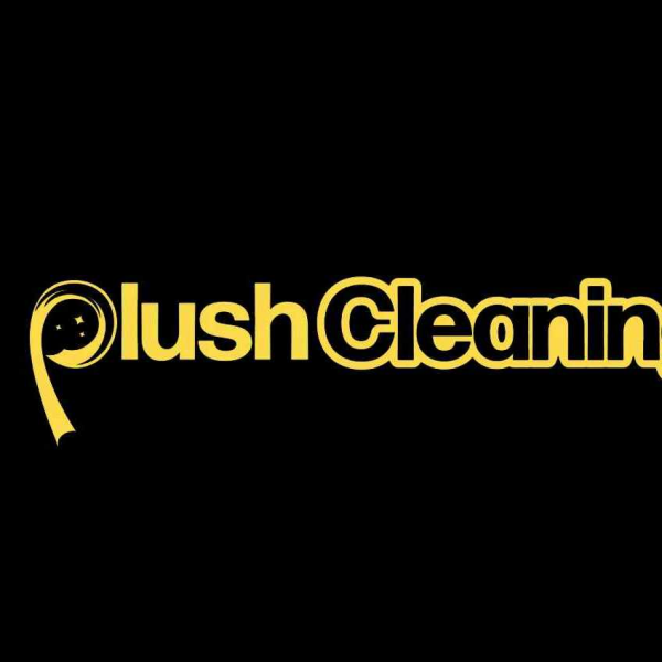 Plush Cleaning