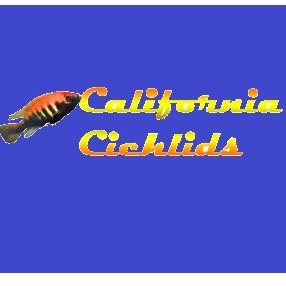 CaliforniaCichlids.com