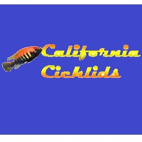 CaliforniaCichlids.com