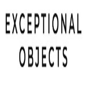 Exceptional Objects