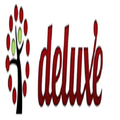 Custom Palladian and Architectural Windows