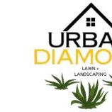 Urban Diamond Lawn