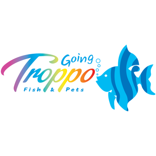 Going Troppo Fish & Pets