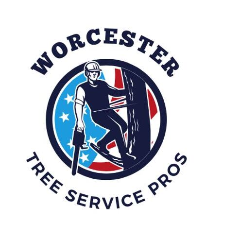 Worcester Tree Service Pros