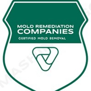 Aliso Viejo Mold Remediation Pros