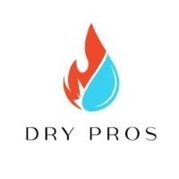 Dry Pros