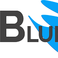 Bluebird Limo Inc