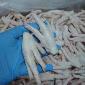 Buy Wholesale Frozen Chicken Online - www.goldenfrozenchicken.com