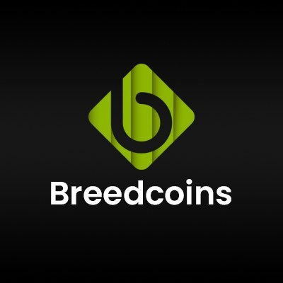 Web3 Game Development Company | Breedcoins