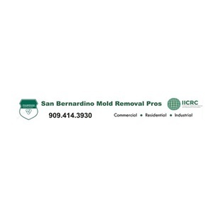 San Bernardino Mold Remediation Pros