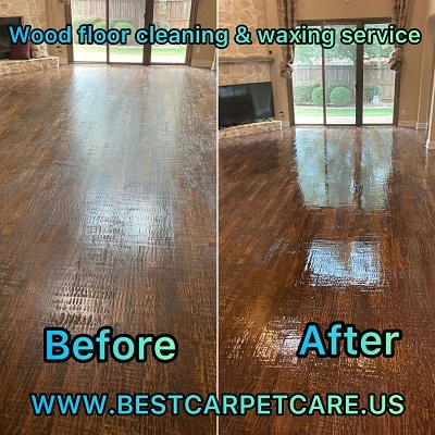 Best Carpet Care