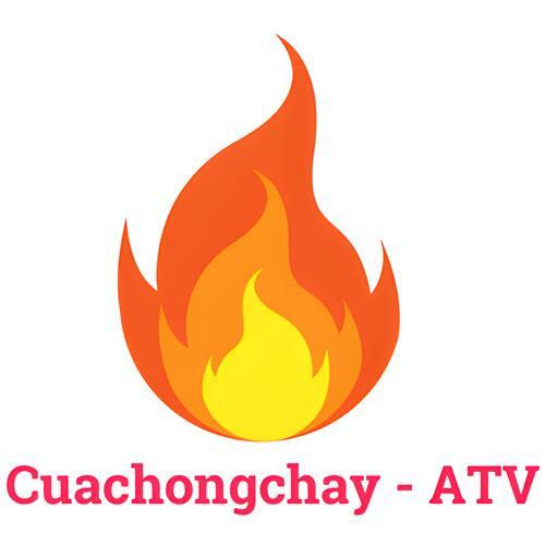 Cửa gỗ chống cháy An Toàn Việt