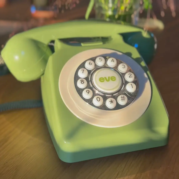 Eve - Virtual Companion Care Services