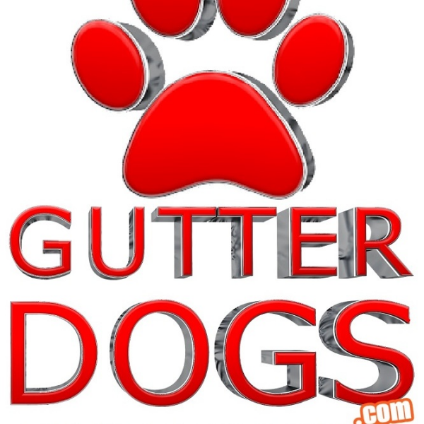 GUTTERDOGS Affordable Soft Power Washing & Safe Roof Cleaning