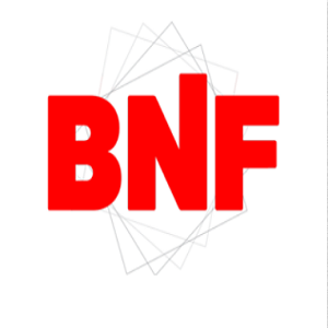 BNF Roofing