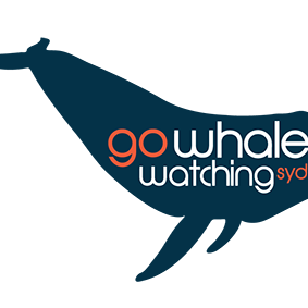 Go Whale Watching
