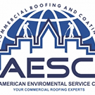 American Enviromental Service