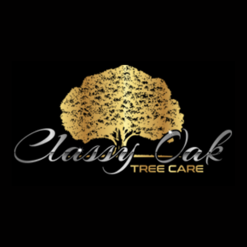 Classy Oak Tree Care