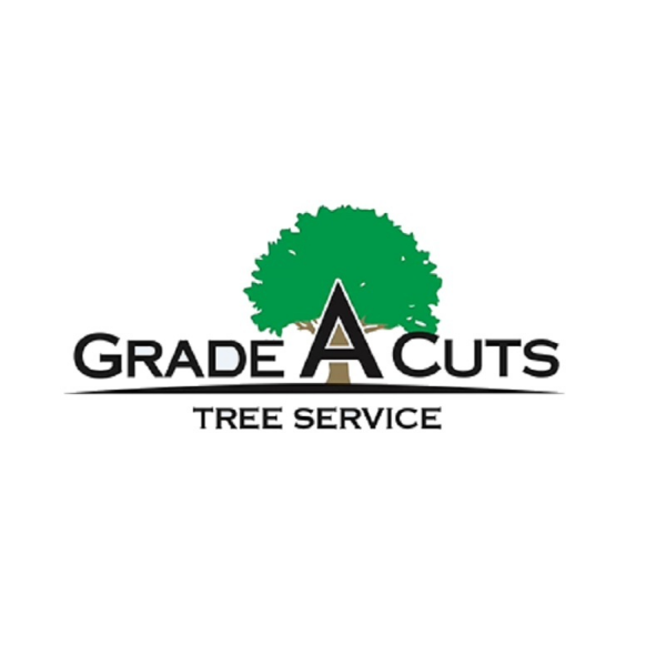 Grade A Cuts