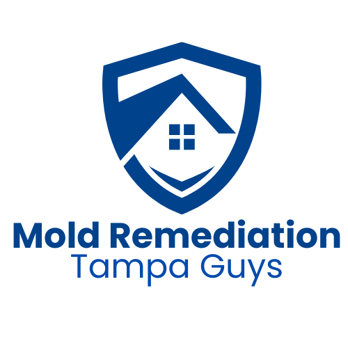 Mold Remediation Tampa Guys